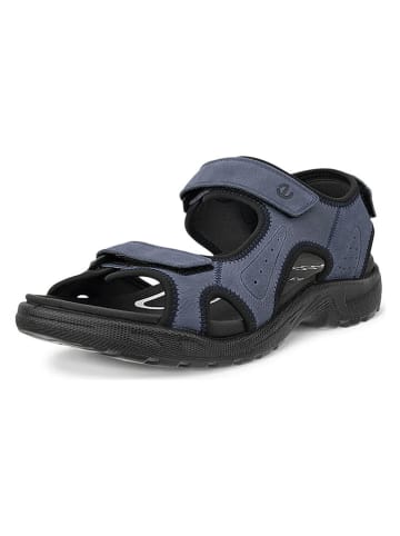 Ecco Leder-Wandersandalen "Onroads"