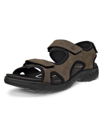 Ecco Leder-Wandersandalen "Onroads"