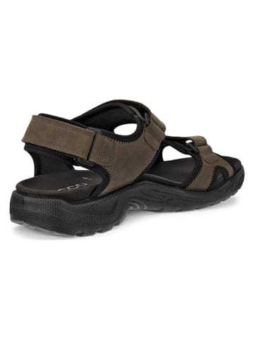 Ecco Leder-Wandersandalen "Onroads"