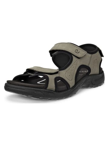 Ecco Leren wandelsandalen "Onroads"