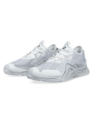 Ecco Sneakers "Biom Infinit" wit