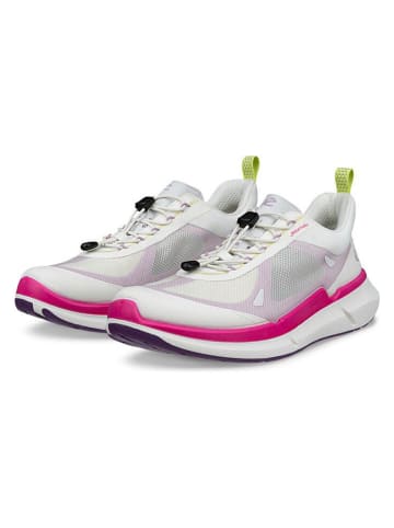 Ecco Sneakers "Biom 2.2" wit/roze