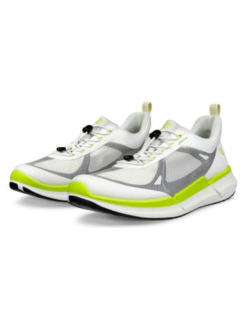 Ecco Sneakers "Biom 2.2" in Weiß/ Grün
