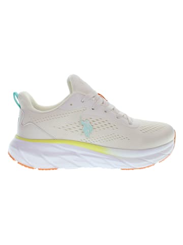 U.S. Polo Assn. Sneakers "Tiger" in Creme