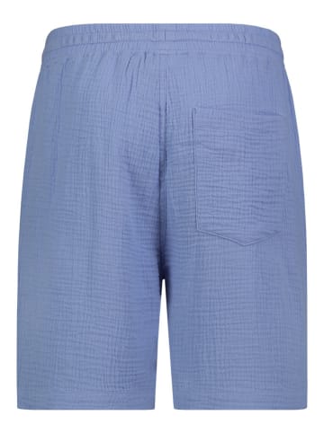 Sublevel Shorts in Blau