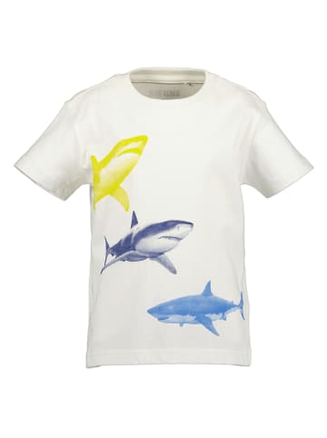Blue Seven Shirt in Weiß