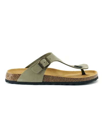 Mandel Leren teenslippers "David" kaki