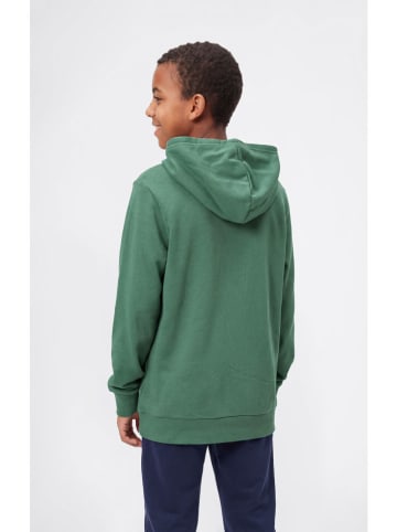 Champion Bluza w kolorze zielonym