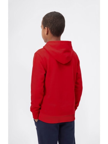 Champion Bluza w kolorze czerwonym