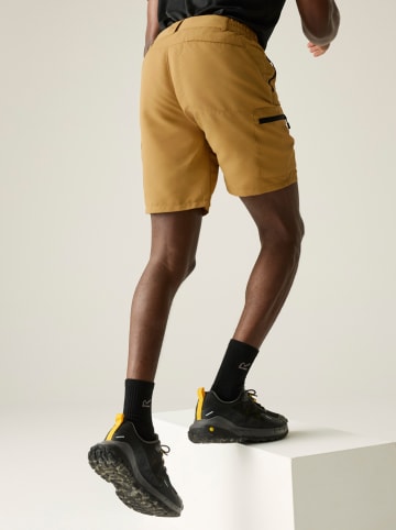 Regatta Funktionsshorts "Leesville" in Senf