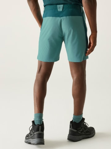 Regatta Functioneel short "Mountain" turquoise
