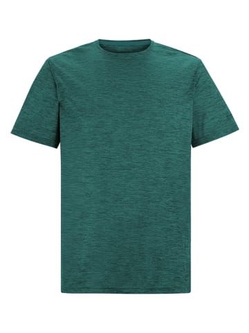 Regatta Functioneel shirt "Fingal Edition" petrol