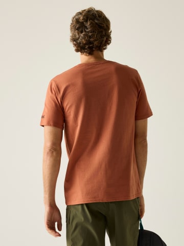 Regatta Shirt "Cline IX" roestrood