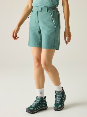 Regatta Funktionsshorts "Mountain" in Türkis
