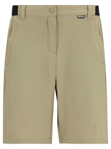 Regatta Funktionsshorts "Travel Light" in Beige
