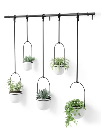 umbra Hängeblumentopf in Schwarz/ Weiß - (B)138 x (H)95 x (T)18 cm