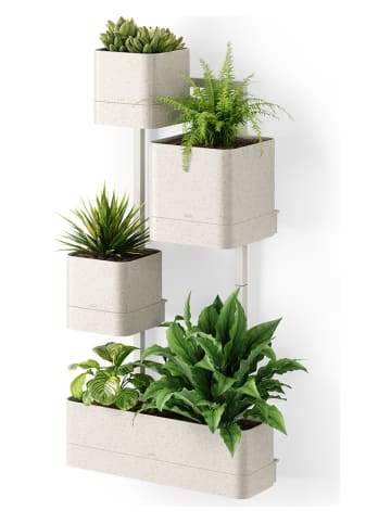umbra Wandpflanzgefäß in Beige - (B)36 x (H)72 x (T)18 cm