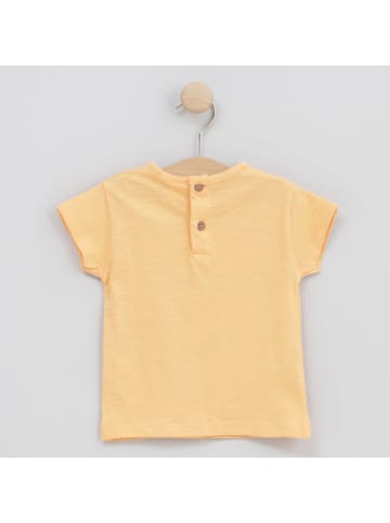 Cotton Fish Shirt in Orange