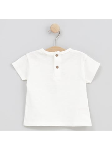 Cotton Fish Shirt wit