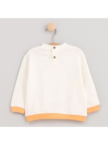 Cotton Fish Sweatshirt crème