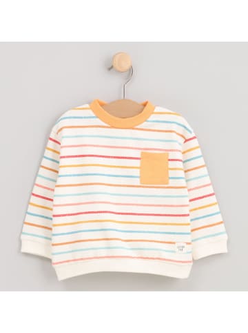 Cotton Fish Bluza w kolorze kremowym