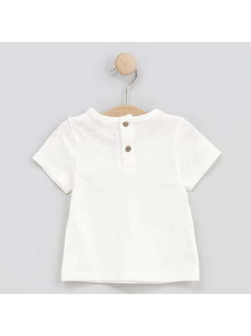 Cotton Fish Shirt in Weiß