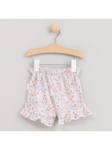 Cotton Fish Short wit