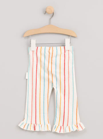 Cotton Fish Sweathose in Creme