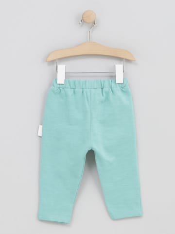 Cotton Fish Sweathose in Türkis