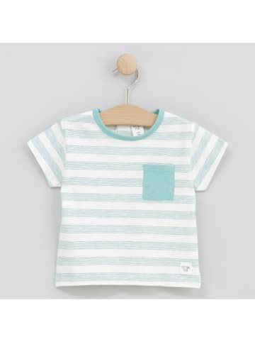 Cotton Fish Shirt in Creme