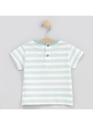 Cotton Fish Shirt in Creme