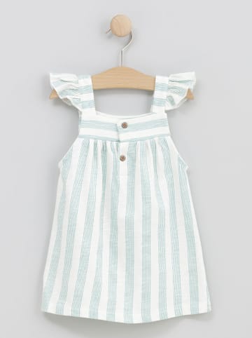 Cotton Fish Kleid in Creme