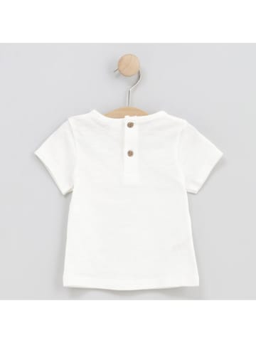 Cotton Fish Shirt wit
