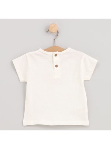 Cotton Fish Shirt crème