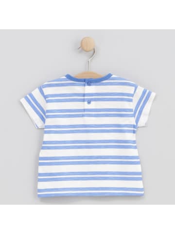 Cotton Fish Shirt wit