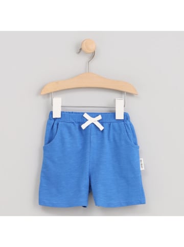 Cotton Fish Shorts in Blau