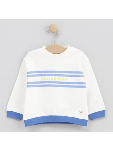 Cotton Fish Bluza w kolorze kremowym