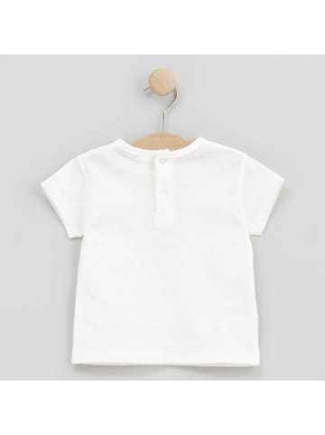 Cotton Fish Shirt wit