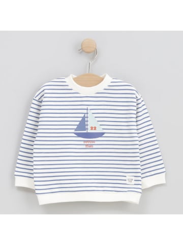Cotton Fish Sweatshirt in Creme