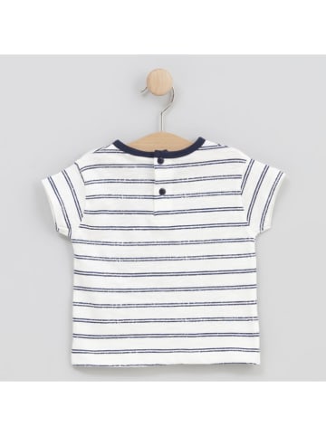 Cotton Fish Shirt in Creme