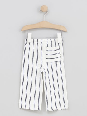 Cotton Fish Hose in Creme