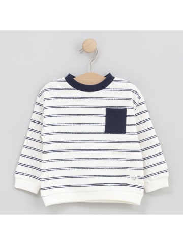 Cotton Fish Bluza w kolorze kremowym