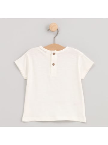 Cotton Fish Shirt in Creme