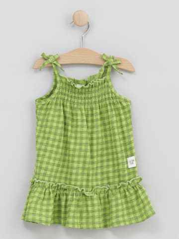 Cotton Fish Kleid in Grün