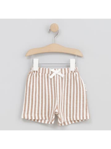 Cotton Fish Short wit