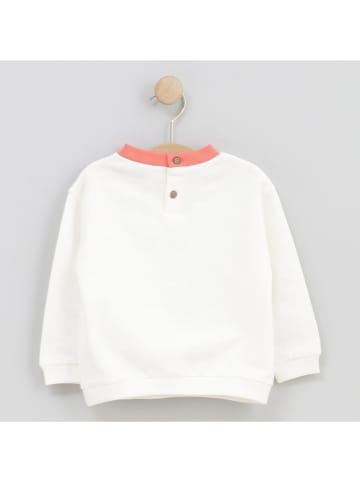 Cotton Fish Sweatshirt wit