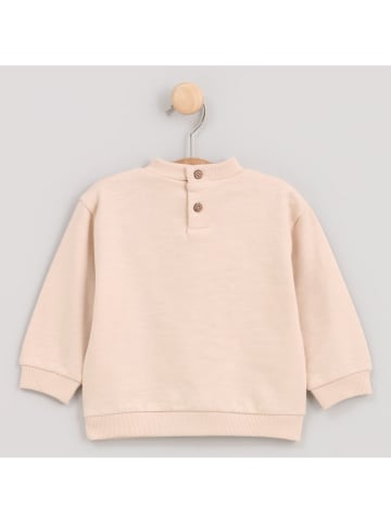 Cotton Fish Bluza w kolorze beżowym