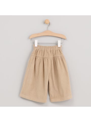 Cotton Fish Cordhose in Beige