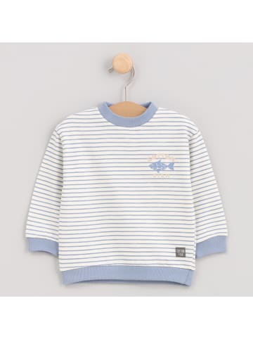 Cotton Fish Sweatshirt crème