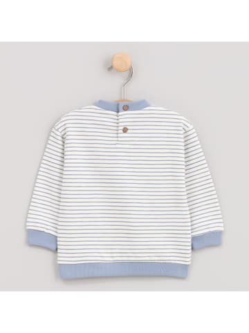 Cotton Fish Bluza w kolorze kremowym